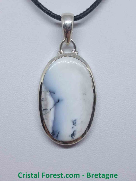 Agate dendrite