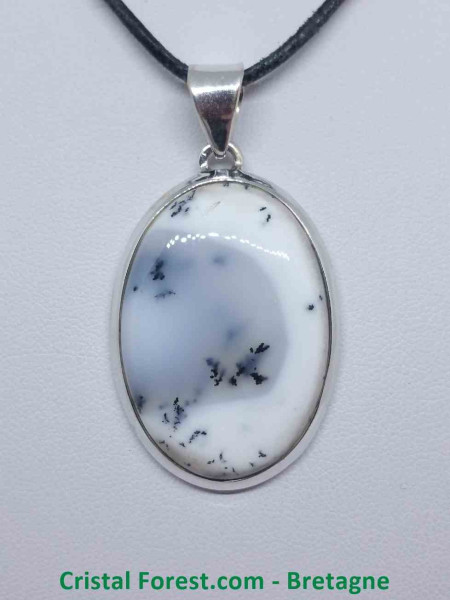 Agate dendrite