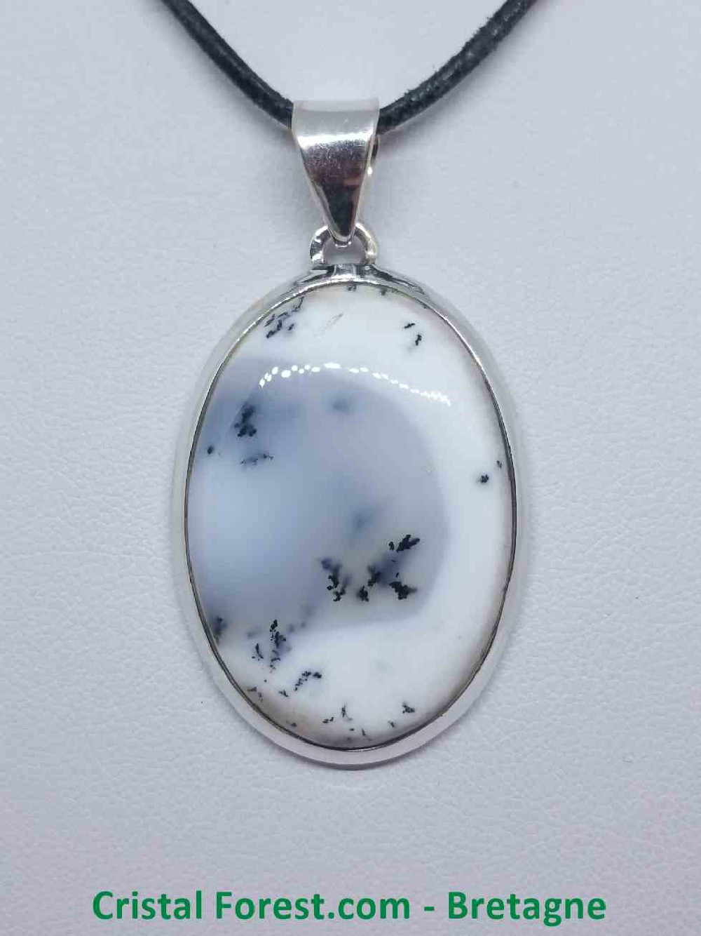 Agate dendrite