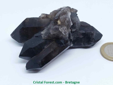 Quartz Fumé - Druse (Amas) - Gerbe