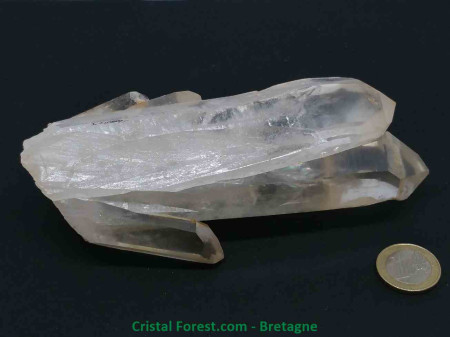 Cristal de Roche - Druse (Amas) - Gerbe