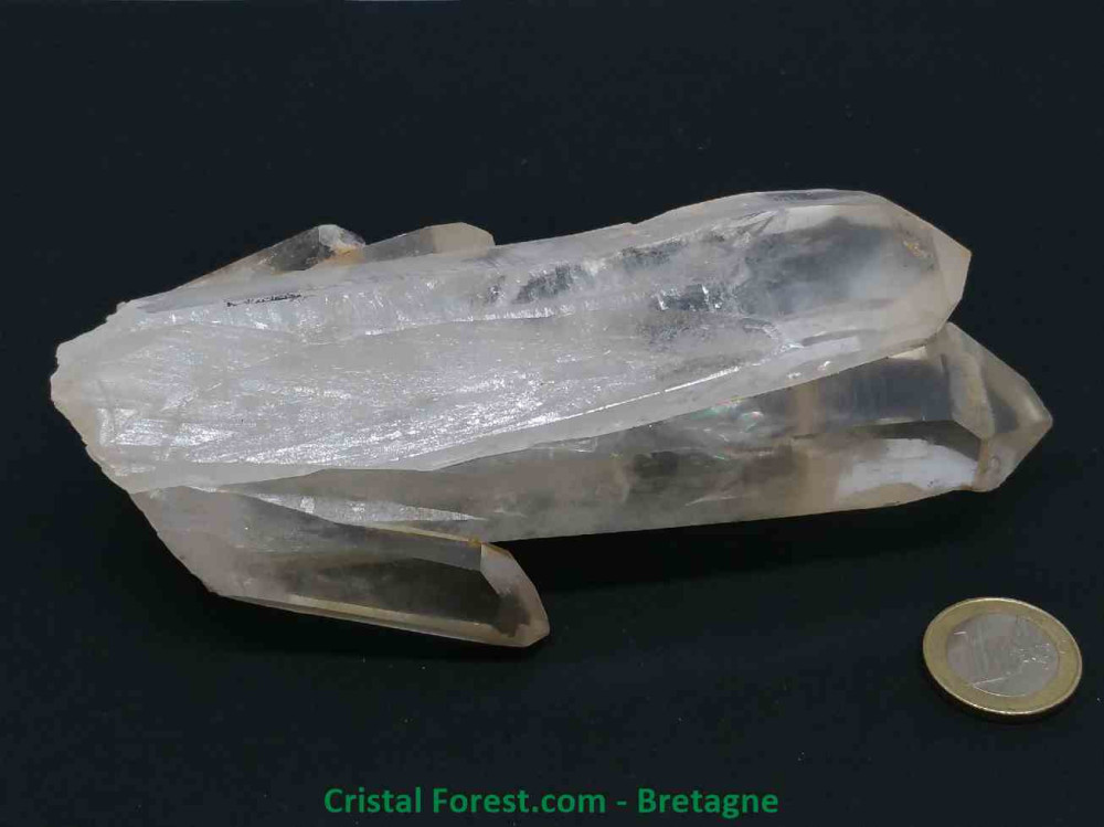 Cristal de Roche - Druse (Amas) - Gerbe
