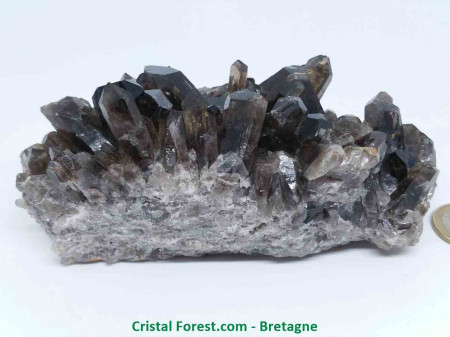 Quartz Fumé - Druse (Amas)