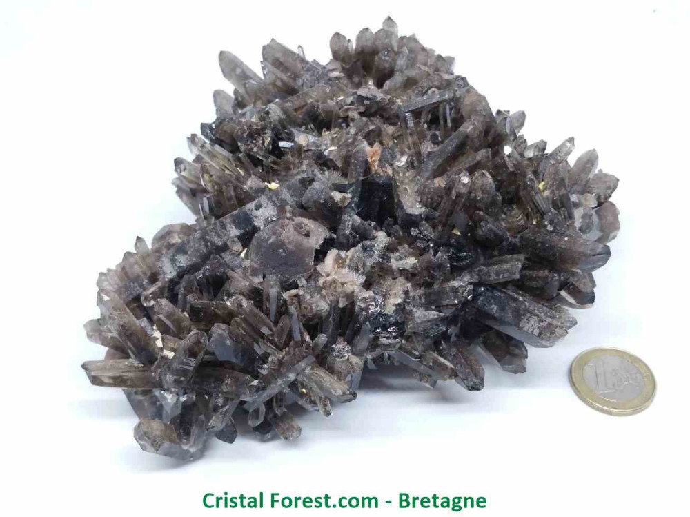 Quartz Fumé - Druse (Amas)