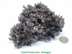Quartz Fumé - Druse (Amas)