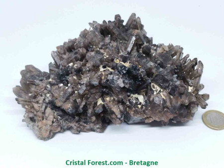 Quartz Fumé - Druse (Amas)