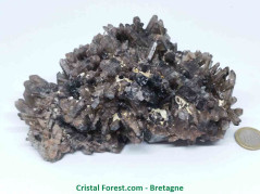 Quartz Fumé - Druse (Amas)
