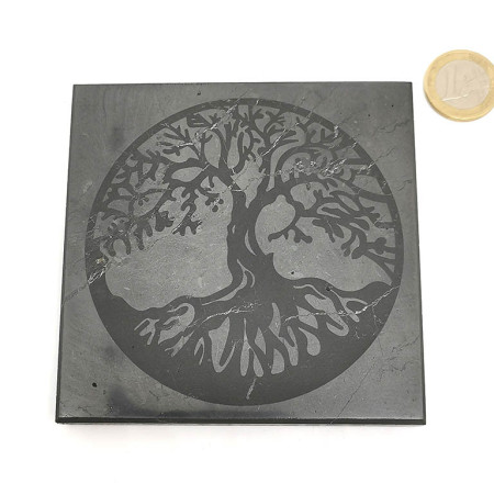 Shungite - Plaque 1 Face Polie Gravée - Arbre de Vie