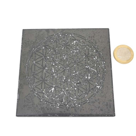 Shungite - Plaque 1 Face Polie Gravée - Fleur de Vie