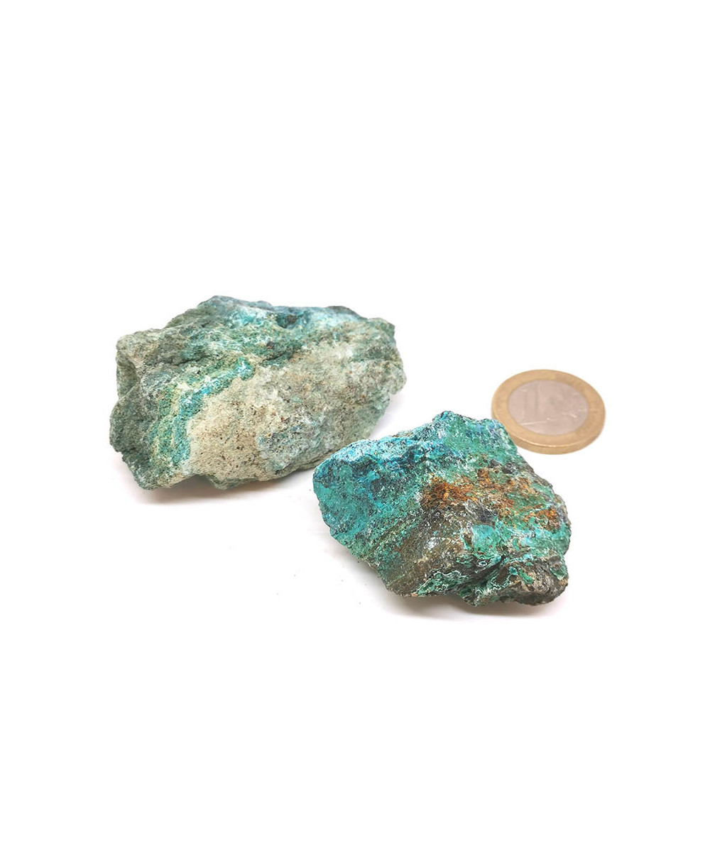 Chrysocolle 