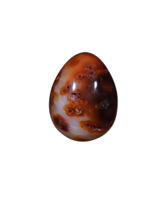 Photo d'un oeuf en cornaline