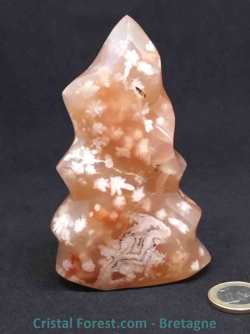 Agate fleur feu bloc
